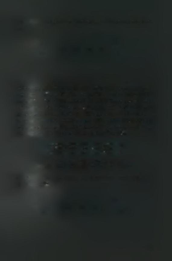 4.2 Σύνθεση 3-Deoxy-3-fluoro-l, 2-6Lisopropylidene-5-6Mosyl-a-D-xylofuranose (4 f8) Σε ένα διάλυμα της ένωσης 3-Deoxy-3-fluoro-l, 2-0-isopropylidene-a-D-xylofuranose 3 (4.0 g, 20.