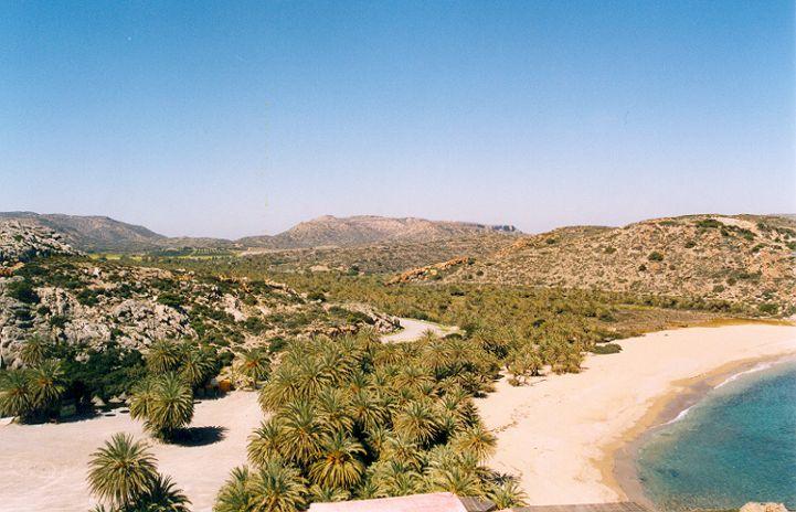 Υποτροπικά συστήματα Η υποτροπική βλάστηση συναντάται στην Κρήτη και συγκεκριμένα στο φοινικόδασος του Βάι με το