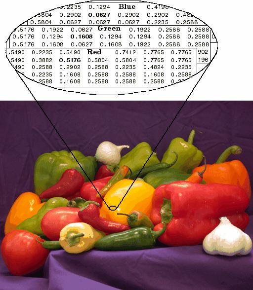 Μία RGB εικόνα της οποίας ο αντίστοιχος πίνακας,τον οποίο αποθηκεύει το Matlab ως αντιστοίχιση αυτής, αποτελείται από double αριθμούς.