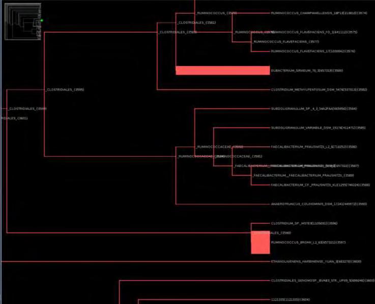 SRR935359_trim.fastq.xml και SRR287818_trim.fastq.xml, που δεν χρειάζονται μετατροπή).