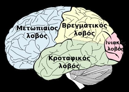 ΚΕΦΑΛΑΙΟ 1 Ο ανθρώπινος εγκέφαλος και η μάθηση άλλη, έτσι για παράδειγμα όταν στους συμμετέχοντες δινόταν ένας ιδιαίτερα δύσκολος συνδυασμός μουσικών τόνων, ήταν πιο δύσκολο για αυτούς να