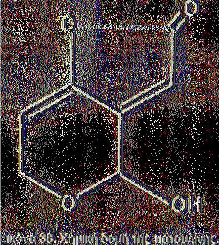 Επιπλέον, αναστέλλει την παραγωγή του ΑΤΡ στα μιτοχόνδρια και διεγείρει τη λιπιδική υπεροξείδωση Πατουλίνη Η πατουλίνη [4-υδρόξυ-4Η-φουρο(3, 2ο)πυρανο-2(6Η)-όνη] παράγεται από πολλά είδη μυκήτων,
