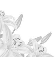 2681 Long Beach Road, Oceanside, New York 11572 Τel: (516) 764-5191 Fax: