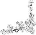 : (716) 674-1900 Fax (716) 674-6684 WWW.ALTONSRESTAURANT.COM CONTACT@ALTONSRESTAURANT.