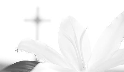 : (973) 882-6882 - Fax: (973) 882-8020 H πρώτη ελληνική επιχείρηση με ειδικότητα σε Payroll Services Για νέους πελάτες ΔΩΡΕΑΝ ο πρώτος μήνας!