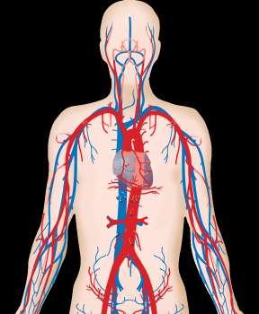disease in diabetes