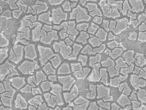 8 V-800 o C-Present Work V-750 o C-Present Work V-800 o C-Musa et al.