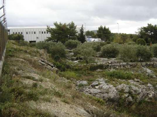 - Z3 MASLINIK u landside zoni zračne luke Oznakom Z3 označen je postojeći maslinik koji se zadržava u landside zoni zračne luke, između prostora postojećeg carga i planiranog garažno tehničkog bloka