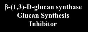 MESTA DELOVANJA PROTIGLIVIČNIH ZDRAVIL -(1,6)-glucan Fungal