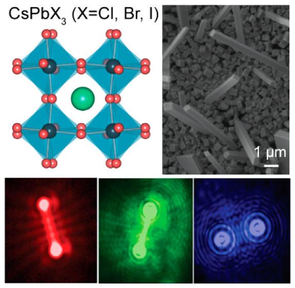 14. Y. Fu, H. Zhu, C. C. Stoumpos, Q. Ding, J. Wang, M. G. Kanatzidis, X. Zhu, S.