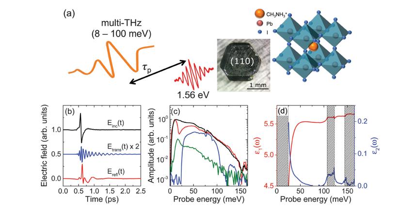 31. D. A. Valverde-Chávez, C. Ponseca Jr., C. C. Stoumpos, A. Yartsev, M. G. Kanatzidis, V. Sundström, D. G. Cooke, Intrinsic Femtosecond Charge Generation Dynamics in Single Crystal CH 3NH 3PbI 3, Energy Environ.