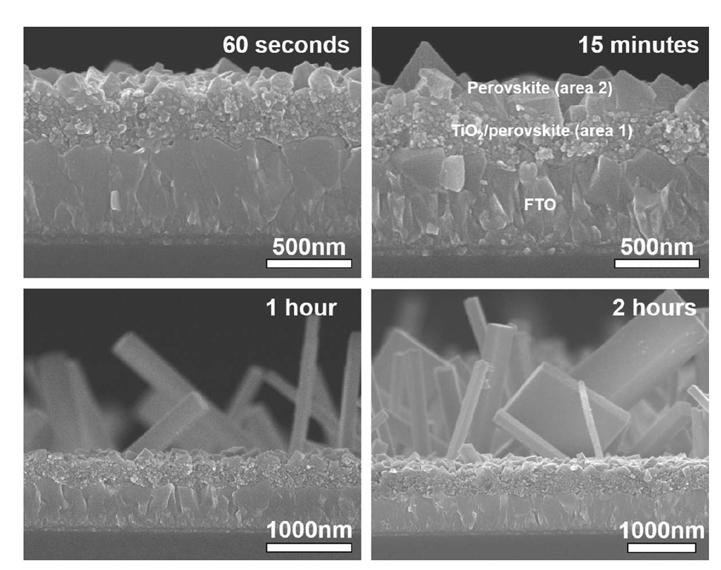 42. D. H. Cao, C. C. Stoumpos, C. D. Malliakas, M. J. Katz, O. K. Farha, J. T. Hupp, M. G. Kanatzidis, Remnant PbI 2, an Unforeseen Necessity in High-Efficiency Hybrid Perovskite-Based Solar Cells?