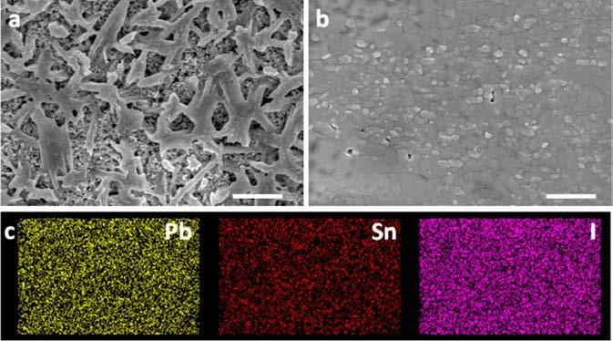 45. F. Hao, C. C. Stoumpos, R.P. H. Chang, M. G. Kanatzidis, Anomalous Band Gap Behavior in Mixed Sn and Pb Perovskites Enables Broadening of Absorption Spectrum in Solar Cells J. Am. Chem. Soc.