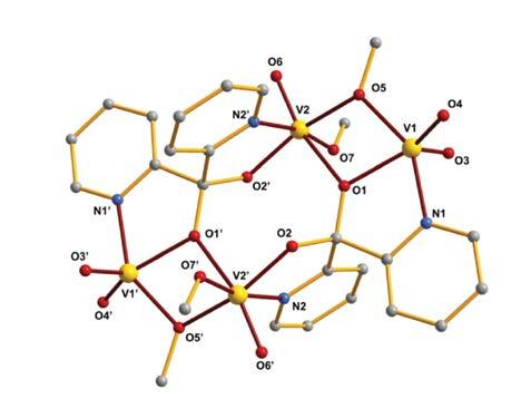 interesting structures and properties.