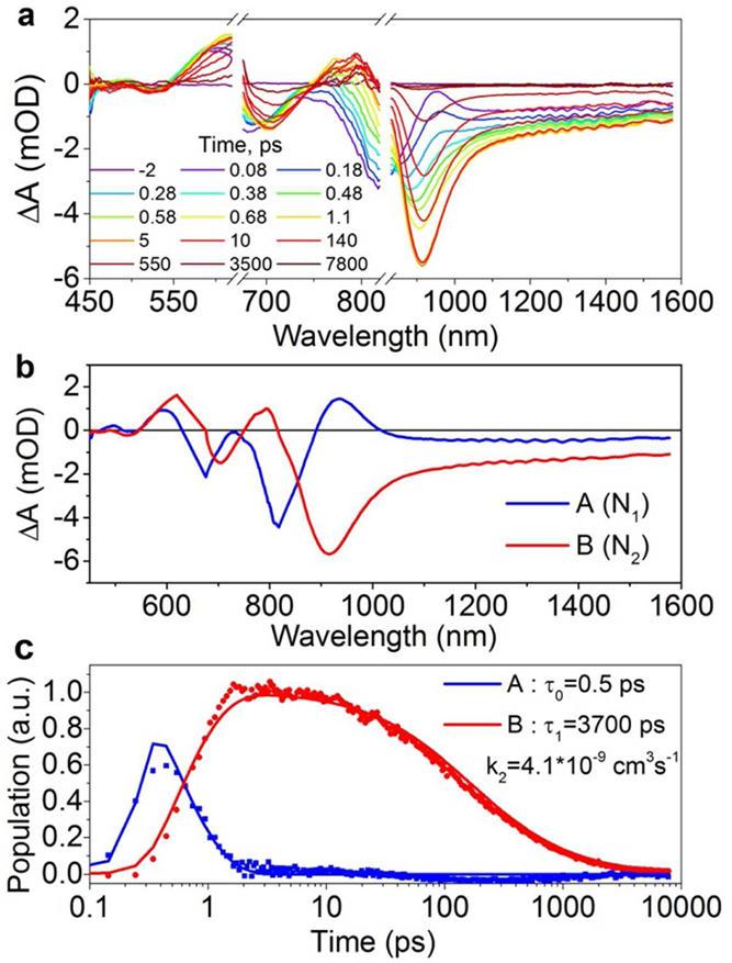 Similar to its lead analogue CH 3NH 3PbI 3, we show that free carrier (electrons and holes) recombination is also the dominant relaxation pathway in CH 3NH 3SnI 3 films.