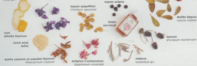 Εικόνα 63: Υλικά για τη δημιουργία μιας σύνθεσης ποτ- πουρί Εικόνα 64: Στάδια προετοιμασίας ποτ - πουρί Διαδικασία παραγωγής ποτ πουρί Γίνεται ξήρανση των πετάλων, φύλλων και φλουδών λεμονιού, πάνω