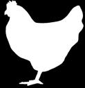 ----------------- ------------ -38 1,29 Belo grozdje brez pečk, razred I, 500 g samo 0,79 1,58/kg -----