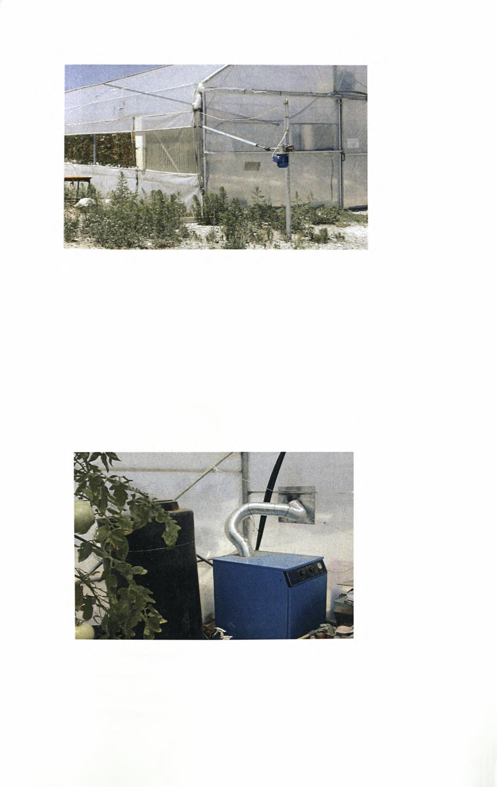 Εικόνα 3.2 Άποψη των πλαϊνών ανοιγμάτων του θερμοκηπίου που χρησιμοποιούνται για αερισμό.