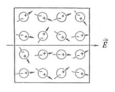 Orientacinė poliarizacija dielektrike Daleiskim, turime dielektriką, sudarytą iš daugelio polinių molekulių.