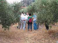 Την τρέχουσα τριετία του προγράµµατος 867/08 έγινε ένα ακόµη άλµα, µε τη συµµετοχή περίπου 3.