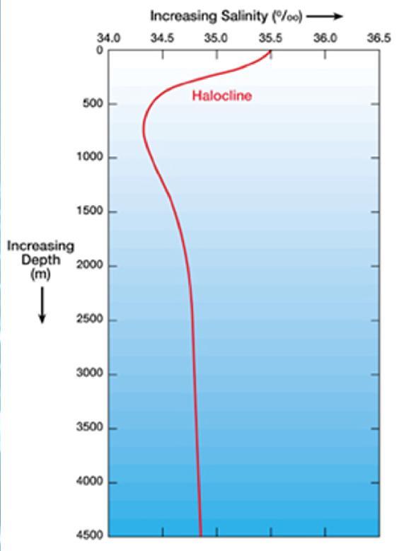 Κατακόρυφη κατανομή της αλατότητας των ωκεανών και θαλασσών Αλοκλινές: Στρώμα στην υδάτινη στήλη με απότομη μεταβολή της αλατότητας Η κατακόρυφη