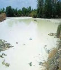 Η αναλογία των συστατικών του κυμαίνεται ανάλογα με το είδος του γάλακτος και το είδος του τυριού που παρασκευάζεται (Μάντης, 2000).