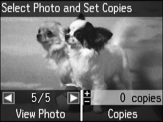 Selectaţi Tipărire foto. Изберете Print Photos. D Fot. Görüntüle ve Yazdır seceneğini tercih edin. Επιλέξτε Προβ. και εκτύπ. φωτ. Selectaţi Vizualizare şi tipărire foto.