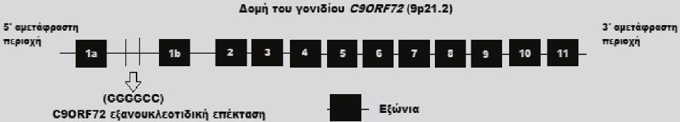 Η ΜΕΤΑΛΛΑΓΗ C9ORF72 ΣΕ ΝΕΥΡΟΕΚΦΥΛΙΣΤΙΚΑ ΝΟΣΗΜΑΤΑ 461 27,573,864 bp) και κωδικοποιεί 11 εξόνια, 3 μετάγραφα και 2 πρωτεϊνικές ισομορφές 1 (εικ. 1).