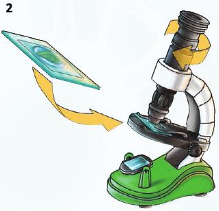 nanaša na dva lističa stekla, kamor se položi vzorec za raziskovanje pod mikroskopom.