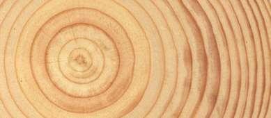 Διάκριση ξύλων: ορισμοί - Πως γίνεται η διάκριση των