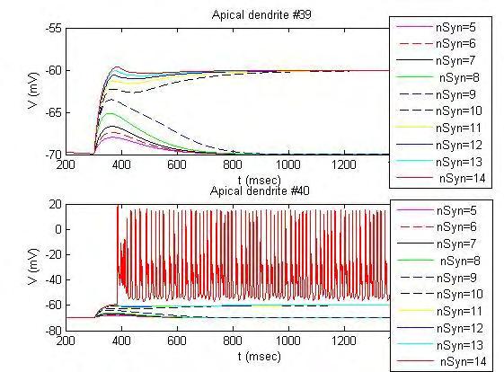 Σχήμα 3. Απόκριση στο σώμα του νευρώνα (αριστερά) και ρυθμός αύξησης του δυναμικού (δεξιά) όταν διεγείρονται 5 έως 14 συνάψεις με χρονική καθυστέρηση 0.1ms στους δενδρίτες #39και # 40.