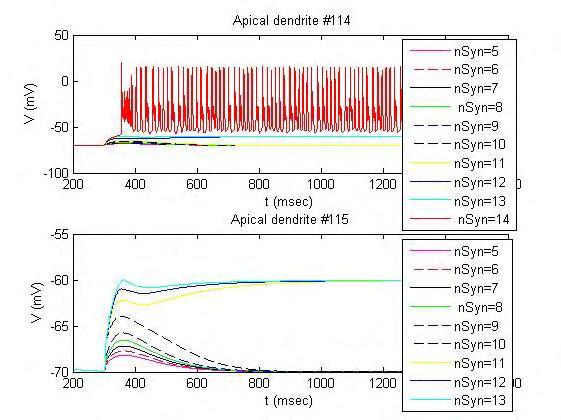 Σχήμα 17. Απόκριση στο σώμα του νευρώνα (αριστερά) και ρυθμός αύξησης του δυναμικού (δεξιά) όταν διεγείρονται 5 έως 14 συνάψεις με χρονική καθυστέρηση 0.1ms στους δενδρίτες #39 και # 40.