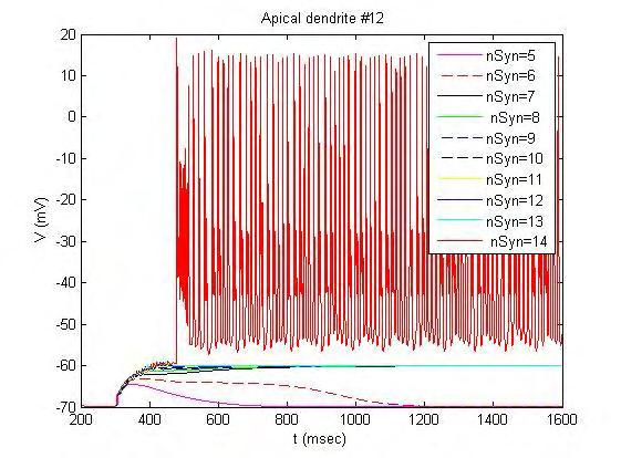 Σχήμα 35. Απόκριση στο σώμα του νευρώνα όταν διεγείρονται 5 έως 14 συνάψεις με χρονική καθυστέρηση 0.1ms στους δενδρίτες #114 και # 115. Η αγωγιμότητα των ampa υποδοχέων είναι 0.0001625 ns.