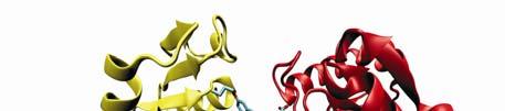 INHIBITRJI ENCIMA MurD
