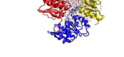 solvated ( Vl s ) solvated ( Vl