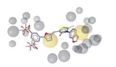 inhibitor MurD in MurE PRTKL