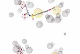 Structure IC 50[μM] T10* T11* T12* T13* Niz neaktivnih molekul N H N H N H N H C - C - N H N H C - C - C - C - C - C - ND ND Catalyst HIT - - ND - ND - T4* N H 134 + T14* N