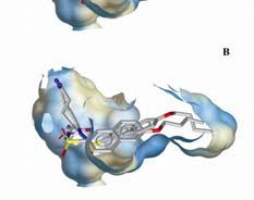 of the experimental binding modes IZBR IN