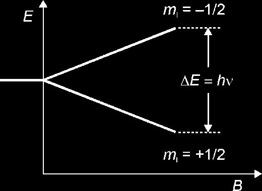Vzorec, ki vsebuje magnetno aktivna atomska jedra, damo v močno magnetno polje in ga obsevamo z elektromagnetnim valovanjem primerne frekvence.