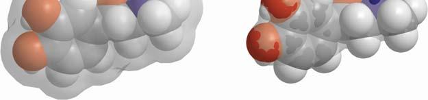 glavne proteinske verige (backbone) b)