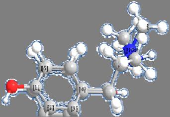 UPRABA RSMD PARAMETRA 1.