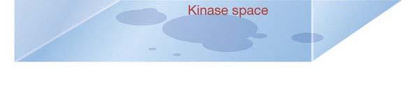 Kemijski prostor organskih spojin je izredno velik (ocena: 10 60 spojin) Del kemijskega prostora kjer so spojine za specifično indikacijo CADD=Computer assisted drug design