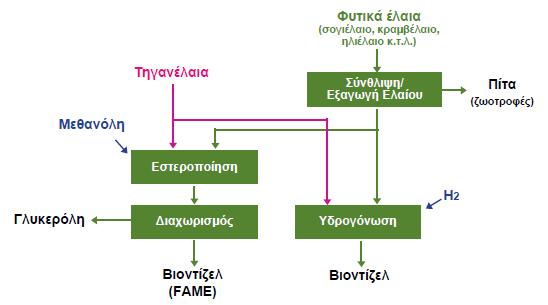 Μετατροπή βιοµάζας σε