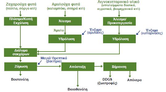 παραγωγής βιοαιθανόλης