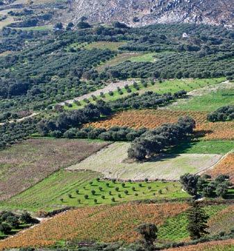 2ΦΥΣΗ, ΚΟΙΝΩΝΙΑ ΚΑΙ ΟΙΚΟΝΟΜΙΑ Ως αγροτικό οικοσύστημα ορίζουμε το σύνολο των περιοχών τις οποίες διαχειρίζεται ο άνθρωπος, με σκοπό να αυξήσει τη φυτική και ζωική παραγωγή.