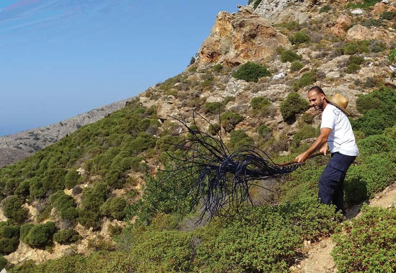 Ως αποτέλεσμα, στο πέρασμα του χρόνου, έχουν αναπτυχθεί ιδιαίτεροι δεσμοί ανάμεσα στους ανθρώπους και στα συστήματα αυτά.