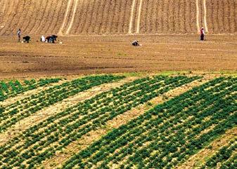 Δίκτυο NATURA 2000, Υπηρεσίες Οικοσυστημάτων Αγροτικών Περιοχών της Κρήτης τη διάβρωση του εδάφους.