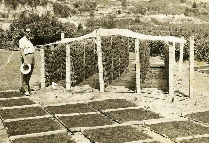 Αυτά μεταφράζονται σε οικονομικές απώλειες (π.χ. απώλεια εσόδων από την πώληση αγαθών και τον τουρισμό) και σε υποβάθμιση της ποιότητας ζωής (π.χ. αδυναμία κάλυψης βασικών αναγκών, εκπαίδευσης και πολιτιστικών δραστηριοτήτων) για τον άνθρωπο.