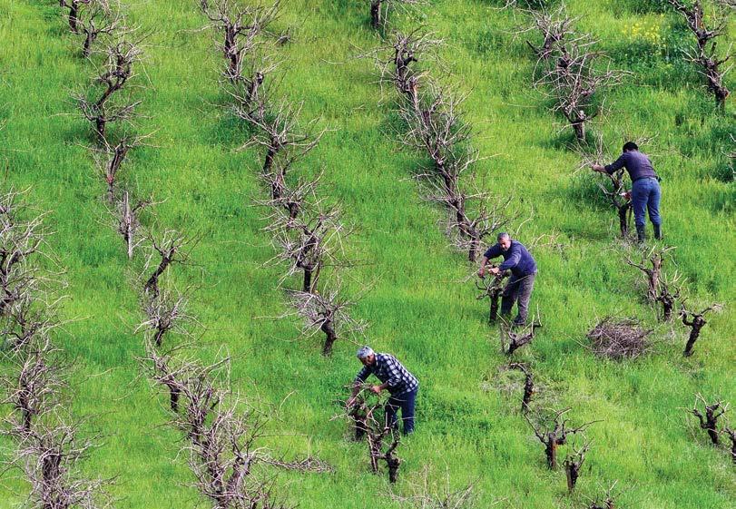 3ΥΠΗΡΕΣΙΕΣ ΟΙΚΟΣΥΣΤΗΜΑΤΩΝ ΚΑΙ ΔΙΚΤΥΟ NATURA 2000 «Κρήτη τις γαῖ ἔστι,