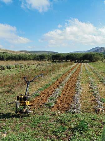 Μέτρα διατήρησης του ενδιαιτήματος των ειδών αυτών λαμβάνονται για είδη τα οποία: α) απειλούνται με εξαφάνιση, β) είναι ευπαθή σε μεταβολές, γ) είναι σπάνια (έχουν μικρή εξάπλωση και μικρούς